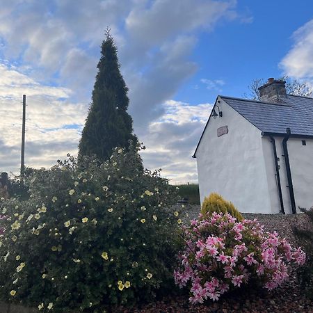 Dans Wee Cottage Slieve Croob Dromara Castlewellan Newcastle Ngoại thất bức ảnh