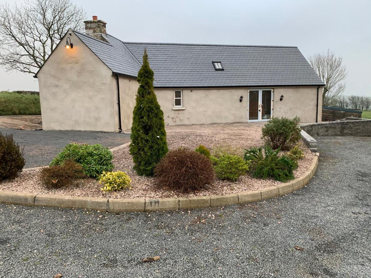 Dans Wee Cottage Slieve Croob Dromara Castlewellan Newcastle Ngoại thất bức ảnh