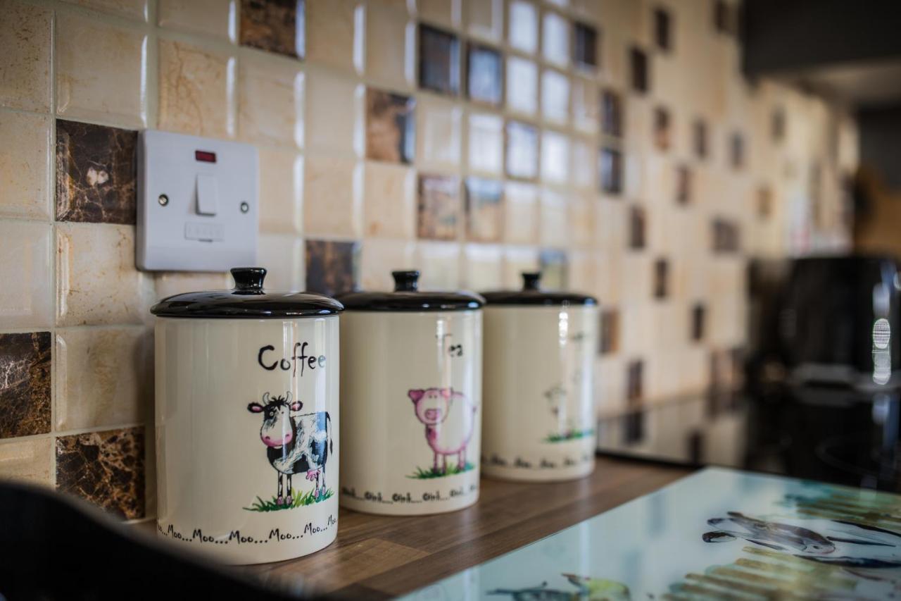 Dans Wee Cottage Slieve Croob Dromara Castlewellan Newcastle Ngoại thất bức ảnh