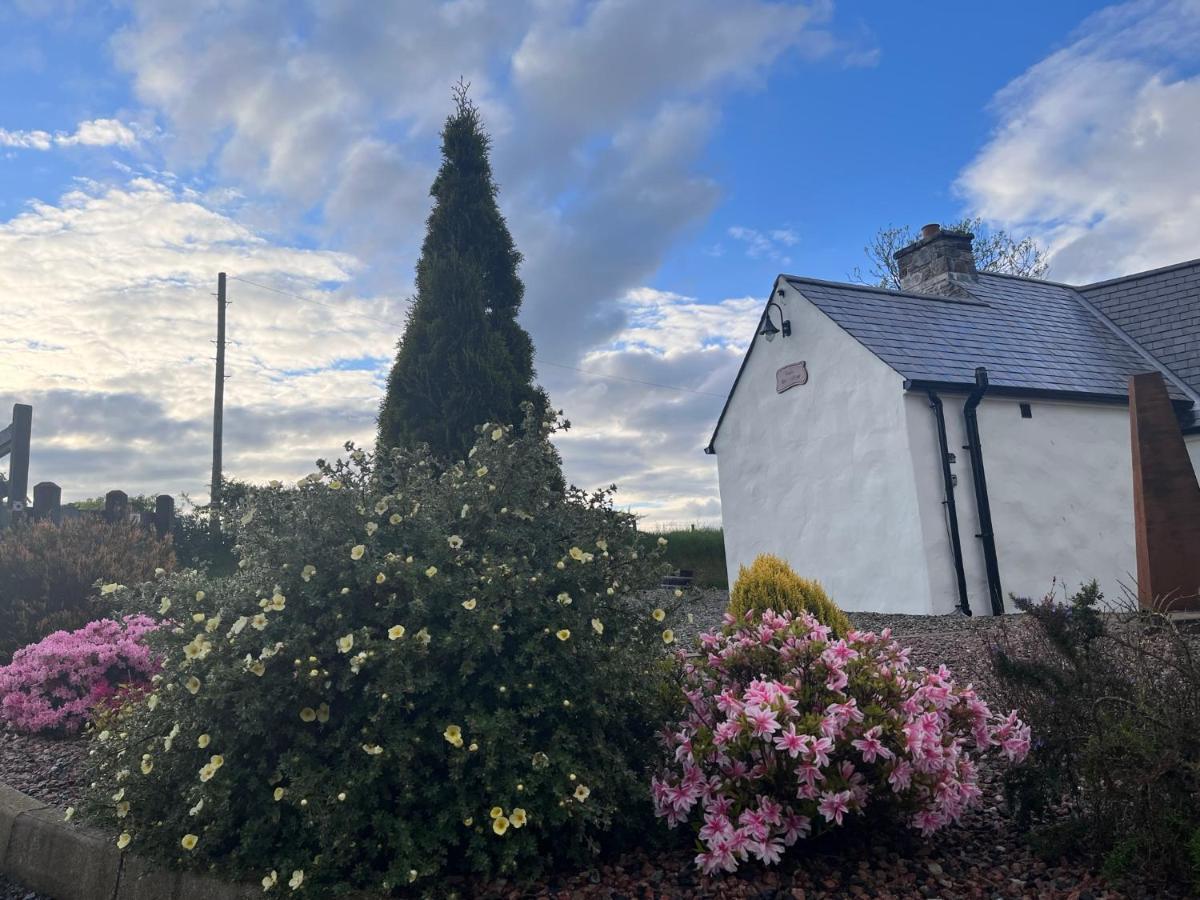 Dans Wee Cottage Slieve Croob Dromara Castlewellan Newcastle Ngoại thất bức ảnh