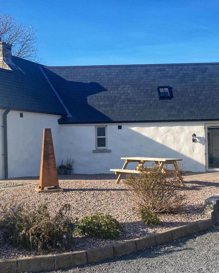 Dans Wee Cottage Slieve Croob Dromara Castlewellan Newcastle Ngoại thất bức ảnh