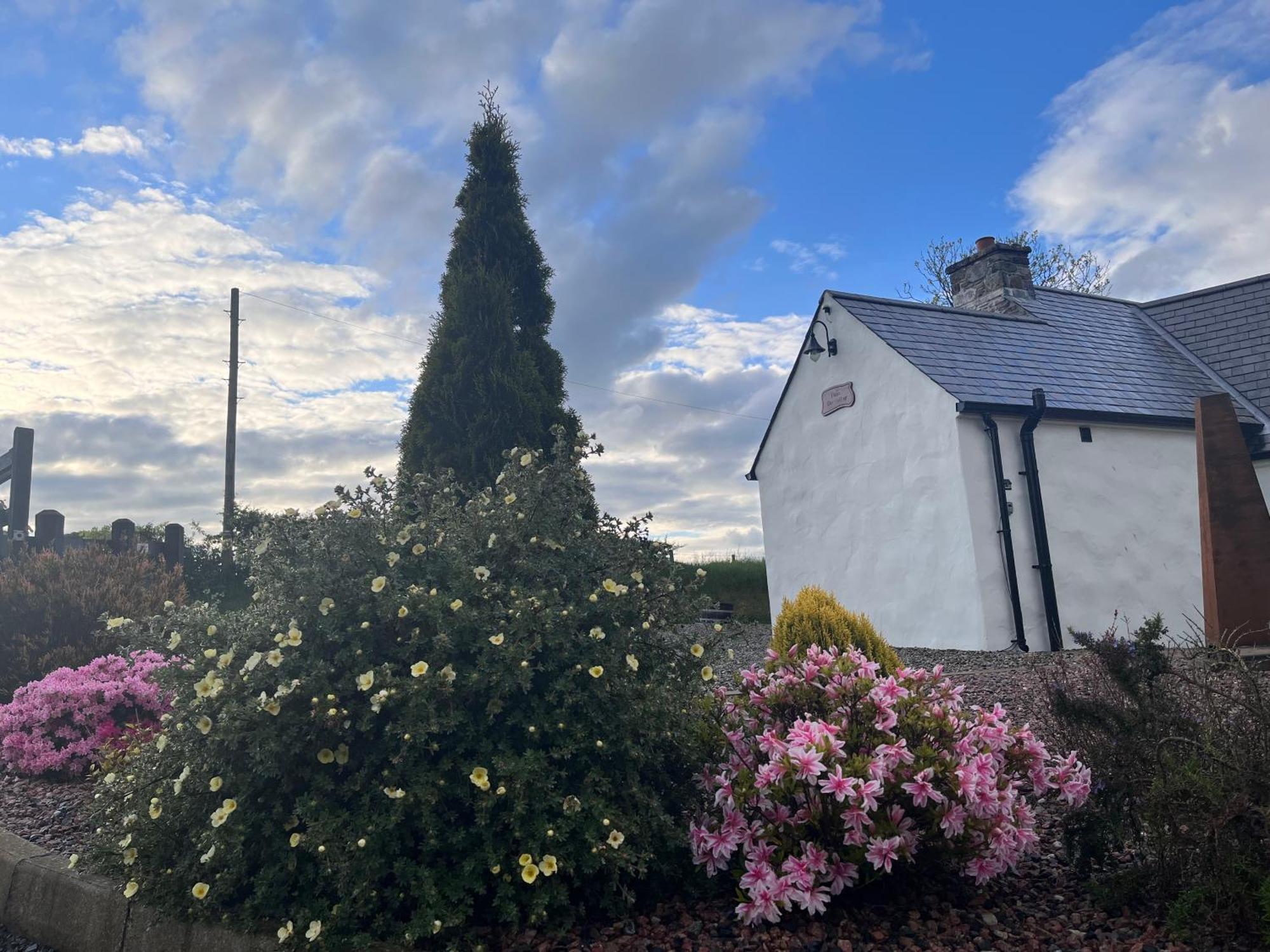 Dans Wee Cottage Slieve Croob Dromara Castlewellan Newcastle Ngoại thất bức ảnh